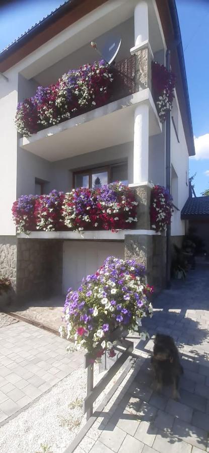Blueberry Homestay Buczkowice